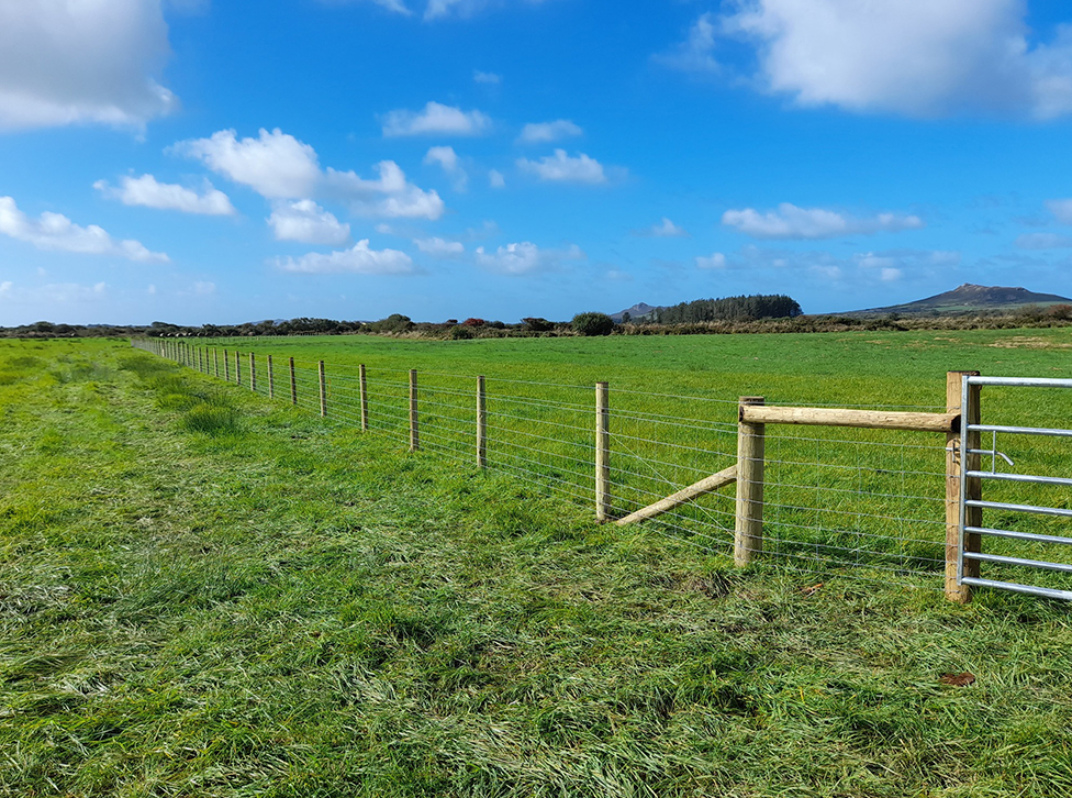 Agricultural and domestic fencing in Pembrokeshire