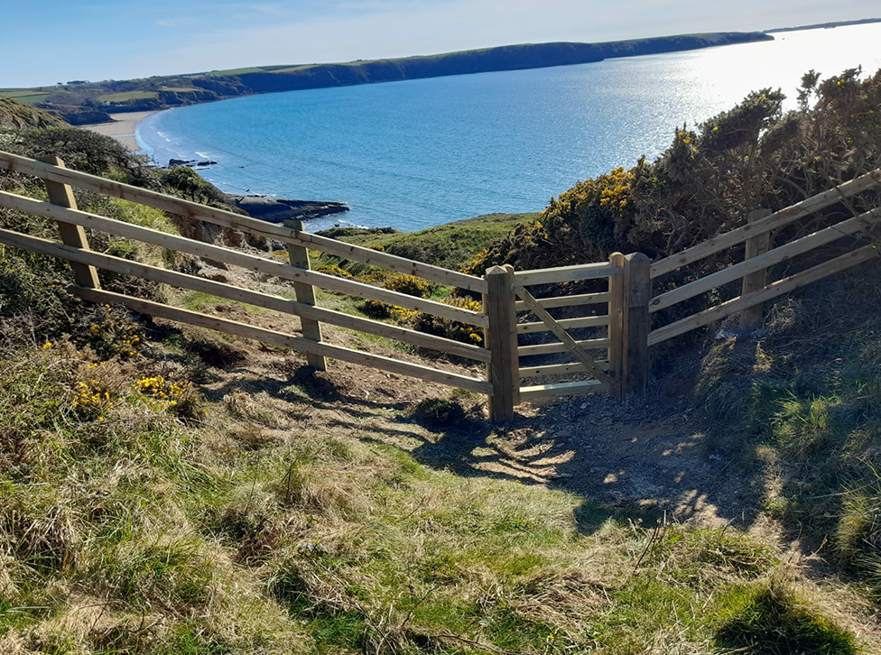 Rabbit Netting in Pembrokeshire